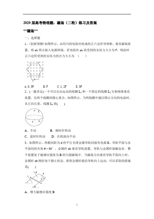 高考物理题：磁场(二轮)练习及答案