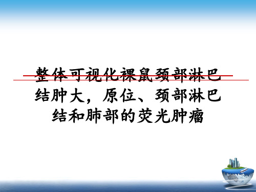 最新整体可视化裸鼠颈部淋巴结肿大,原位、颈部淋巴结和肺部的荧光肿瘤课件ppt