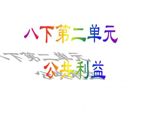 2018年教科版道德与法治八年级下册课件《公共利益》复习课