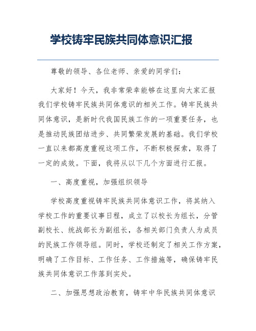 学校铸牢民族共同体意识汇报