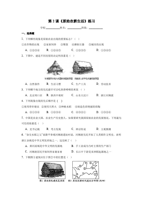 第2课  原始农耕生活(同步练习)(上海专用)