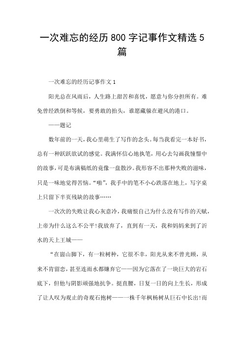 一次难忘的经历800字记事作文精选5篇