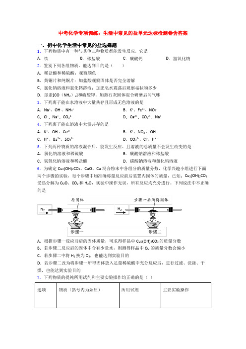 中考化学专项训练：生活中常见的盐单元达标检测卷含答案