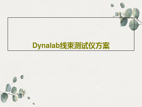 Dynalab线束测试仪方案共29页文档