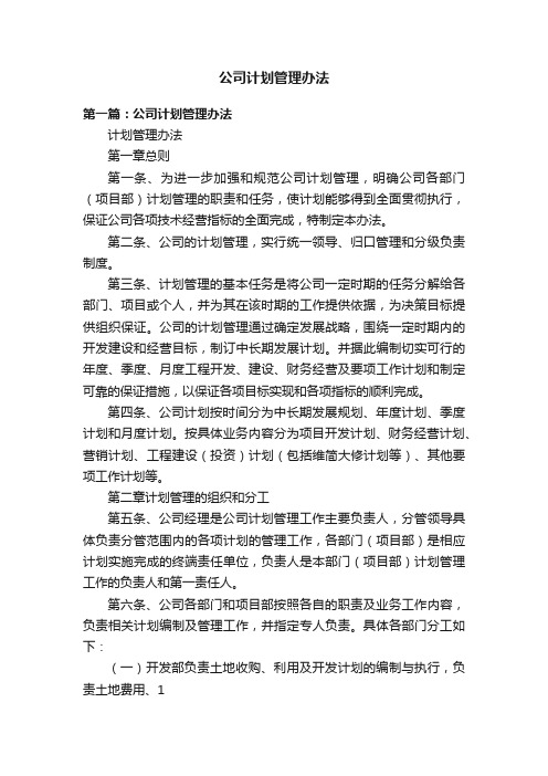 公司计划管理办法