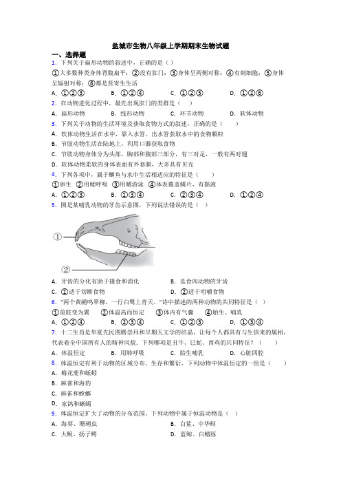 盐城市生物八年级上学期期末生物试题