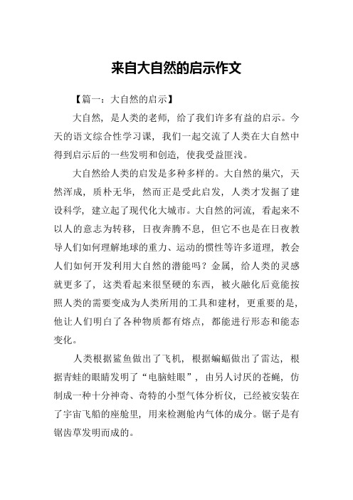 来自大自然的启示作文