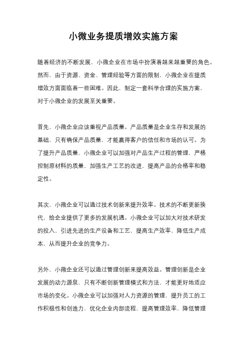 小微业务提质增效实施方案