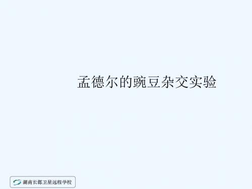 12-09-07高二生物《孟德尔的豌豆杂交实验(一)3》(课件)
