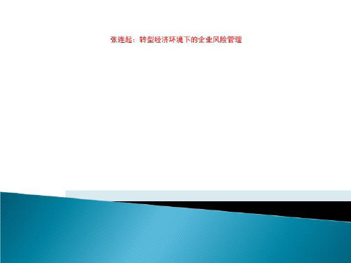 张连起:转型经济环境下的企业风险管理