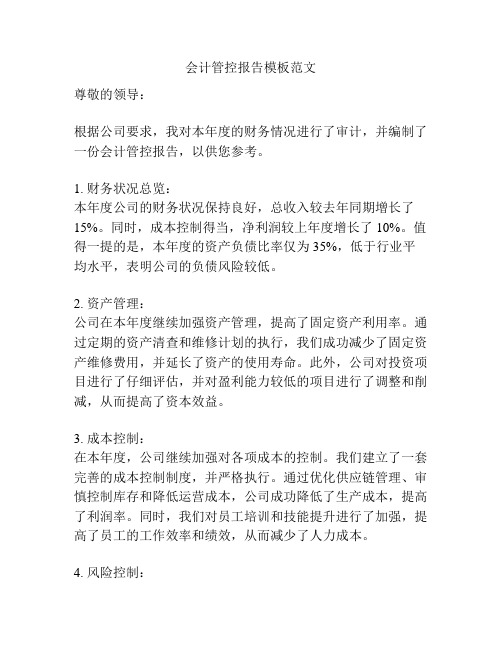 会计管控报告模板范文