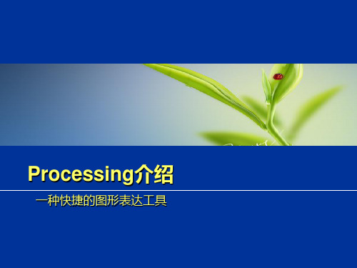 Processing的介绍