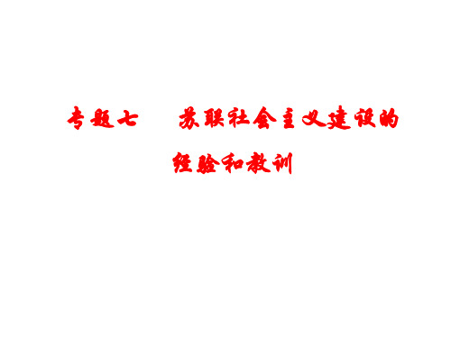 专题七   苏联社会主义建设的经验和教训