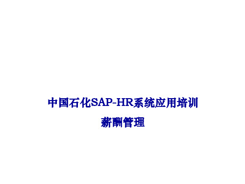 sap实施-中国石化SAPHR系统功能培训薪酬、人工成本培