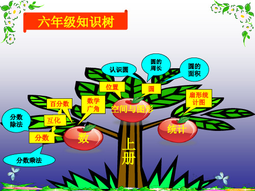 六年级数学知识树上下册