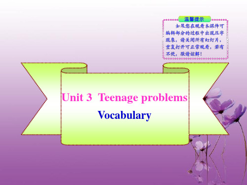 九年级英语上册《Unit 3 Teenage problems》Vocabulary同步授课课件 牛