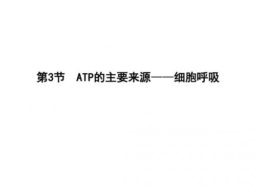 新人教版高中生物必修一课件：ATP的主要来源—细胞呼吸