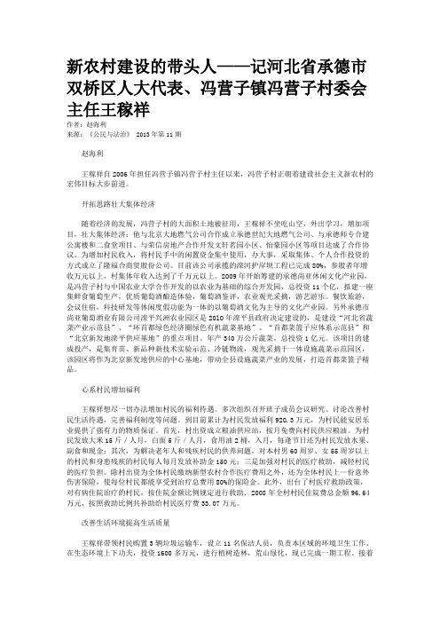 新农村建设的带头人——记河北省承德市双桥区人大代表、冯营子镇冯营子村委会主任王稼祥