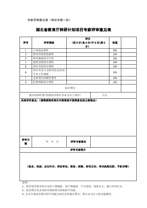 专家评审意见表【模板】