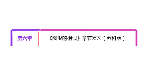 第6章 图形的相似【复习课件】九年级数学下册单元复习一遍过(苏科版)