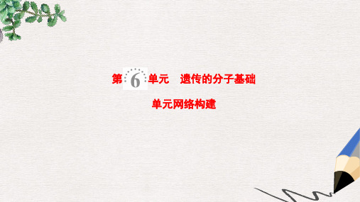 2019版高考生物一轮复习第6单元遗传的分子基础单元网络构建课件苏教版