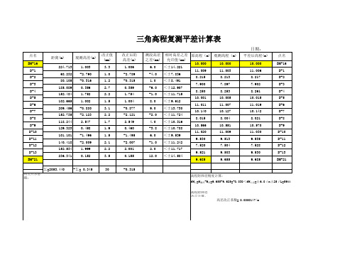 三角高程平差计算表讲解学习