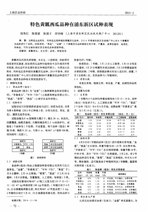 特色黄瓤西瓜品种在浦东新区试种表现