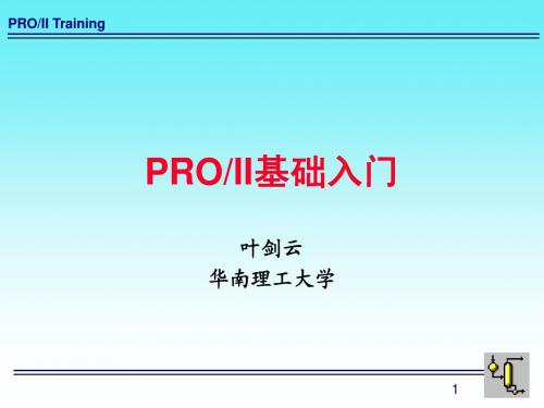 PROII基础入门