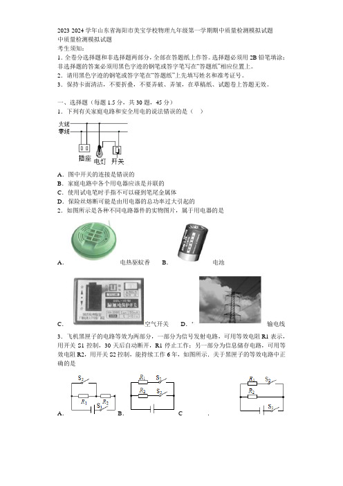 2023-2024学年山东省海阳市美宝学校物理九年级第一学期期中质量检测模拟试题含解析