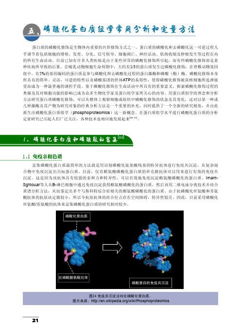 磷酸化蛋白质组学