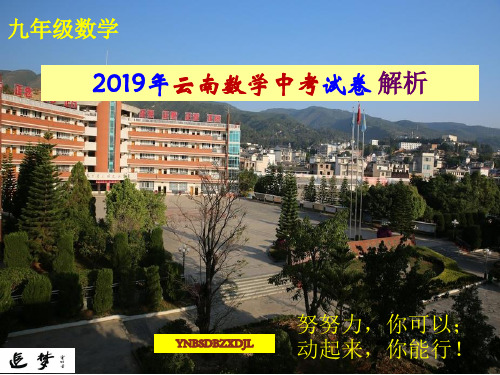 2019年云南省数学中考试卷解析