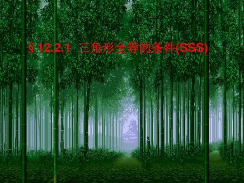三角形全等的条件SSS