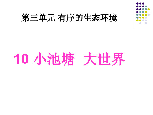 六年级下册科学课件-3.10 小池塘 大世界丨冀教版 (共25张PPT)