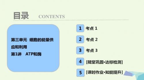 18年高考生物大一轮复习第三单元细胞的能量供应和利用第1讲ATP和酶课件