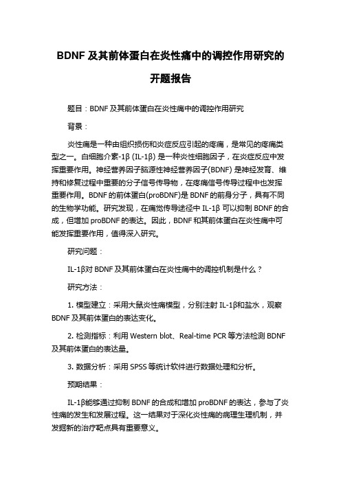 BDNF及其前体蛋白在炎性痛中的调控作用研究的开题报告