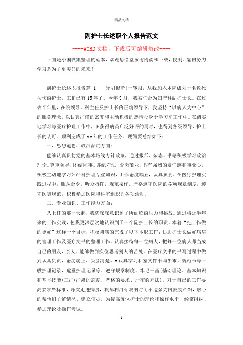 副护士长述职个人报告范文