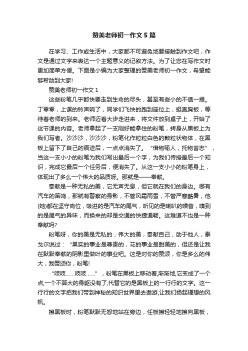 赞美老师初一作文5篇