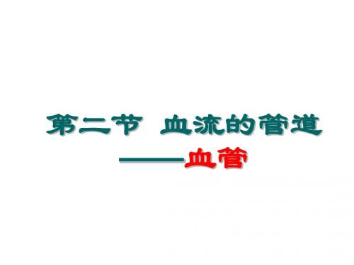 人教版七年级生物下册《血流的管道血管》