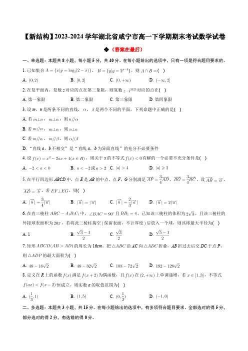 湖北省咸宁市2023-2024学年高一下学期期末考试数学试卷含答案