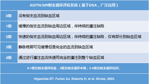 ASITN,SIR侧支循环评估系统