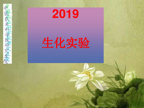 2019生化实验-PPT课件