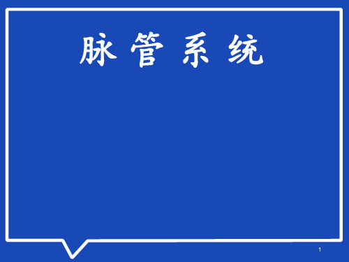 脉管总论  ppt课件