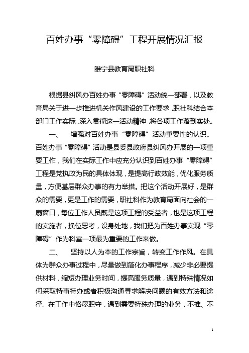 百姓办事零障碍工作汇报