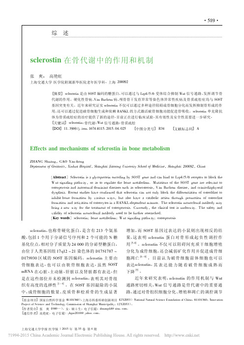 sclerostin在骨代谢中的作用和机制_张爽