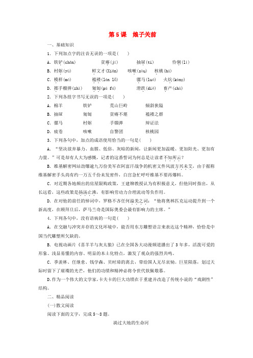 课堂设计高中语文第5课娘子关前课时作业语文版选修《中国现当代散文鉴赏》