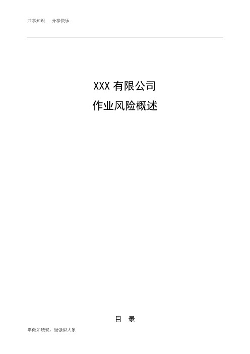 XX公司作业风险概述