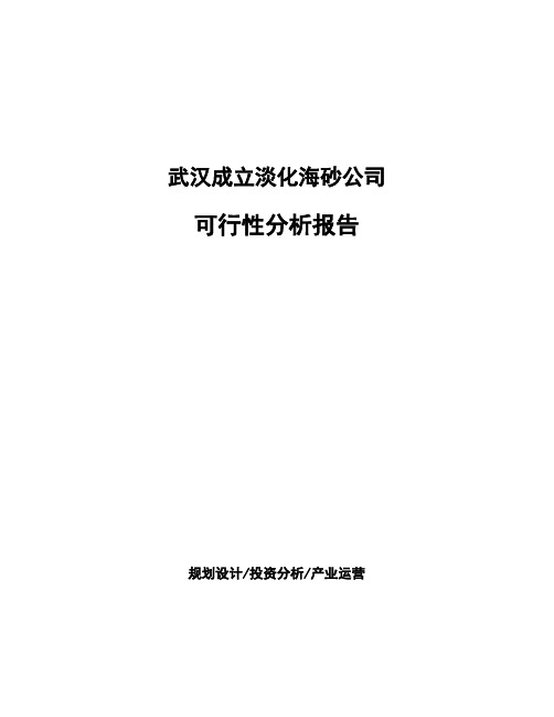 武汉成立淡化海砂公司可行性分析报告