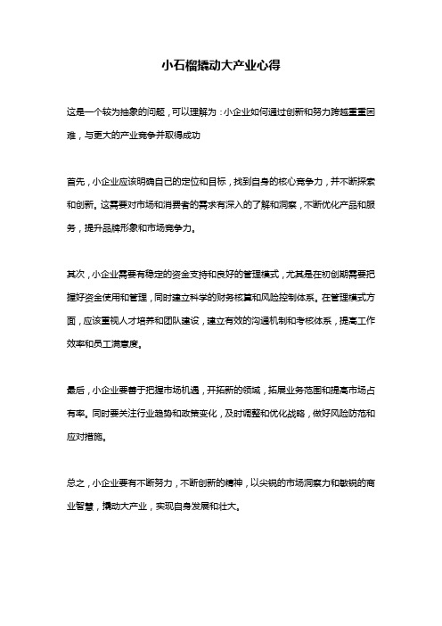 小石榴撬动大产业心得