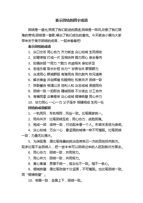 表示团结的四字成语