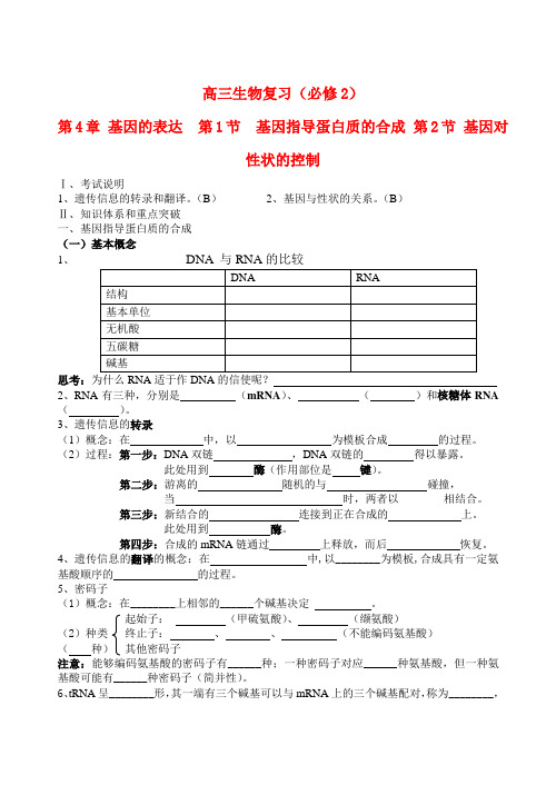 高三生物 基因的表达复习学案 新人教版必修2